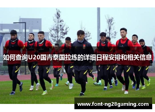 如何查询U20国青泰国拉练的详细日程安排和相关信息