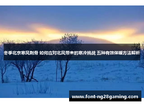 冬季北京寒风刺骨 如何应对北风带来的寒冷挑战 五种有效保暖方法解析