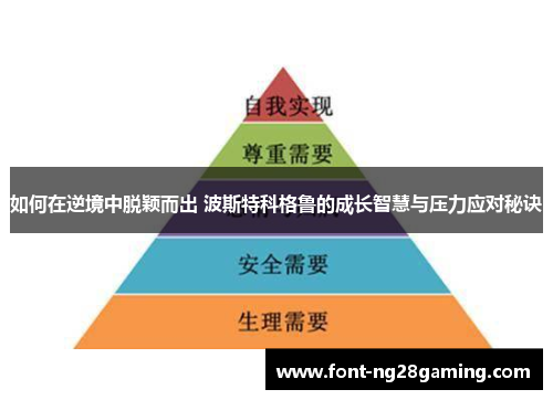 如何在逆境中脱颖而出 波斯特科格鲁的成长智慧与压力应对秘诀
