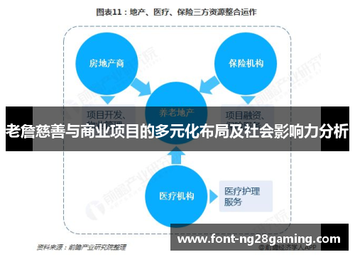 老詹慈善与商业项目的多元化布局及社会影响力分析 老詹慈善与商业项目的多元化布局及社会影响力分析